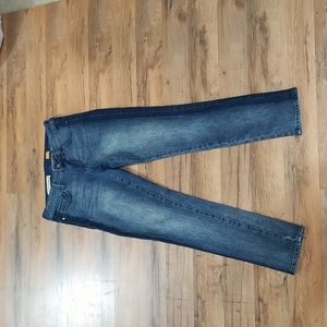 ANTHROPOLOGIE Pilcro & The Letterpress Stet Fit Two Wash Denim Jeans